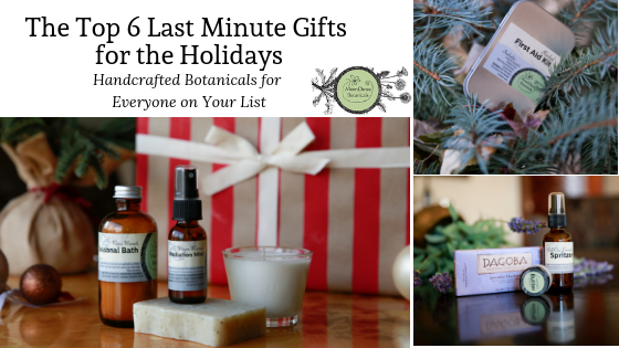 The Top 6 Last Minute Gifts for The Holidays