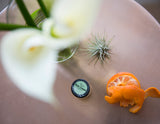 Neroli Eye Cream