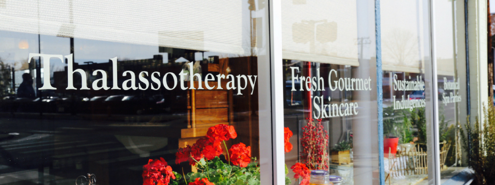 MoonDance Botanical Front Windows